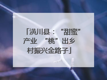 潢川县：“甜蜜”产业  “桃”出乡村振兴金路子