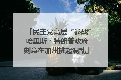 民主党高层“参战” 哈里斯：特朗普政府刻意在加州挑起混乱