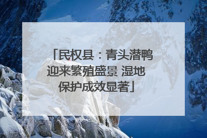 民权县：青头潜鸭迎来繁殖盛景 湿地保护成效显著