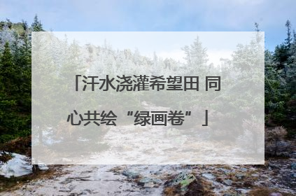 汗水浇灌希望田 同心共绘“绿画卷”