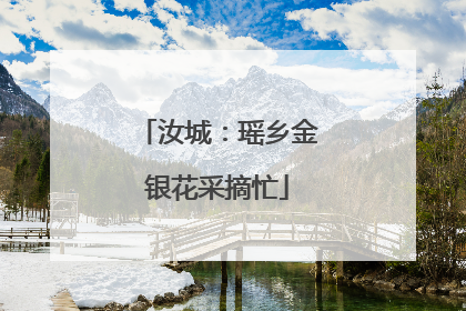汝城：瑶乡金银花采摘忙