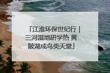 江淮环保世纪行｜三河湿地研学热 黄陂湖成鸟类天堂