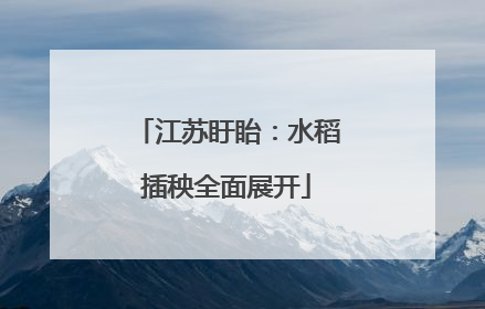 江苏盱眙：水稻插秧全面展开