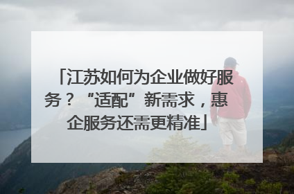 江苏如何为企业做好服务？“适配”新需求，惠企服务还需更精准