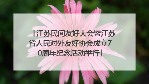 江苏民间友好大会暨江苏省人民对外友好协会成立70周年纪念活动举行