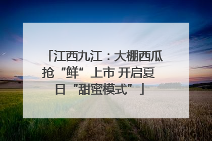江西九江：大棚西瓜抢“鲜”上市 开启夏日“甜蜜模式”