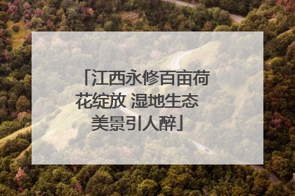 江西永修百亩荷花绽放 湿地生态美景引人醉