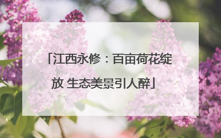 江西永修：百亩荷花绽放 生态美景引人醉