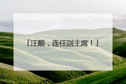 汪顺，连任副主席！