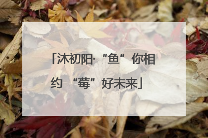 沐初阳·“鱼”你相约 “莓”好未来
