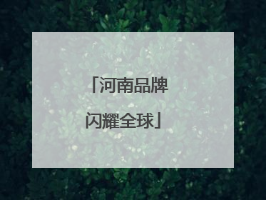 河南品牌 闪耀全球
