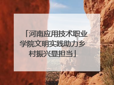 河南应用技术职业学院文明实践助力乡村振兴显担当