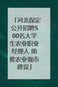 河北保定公开招聘500名大学生农业职业经理人 助推农业强市建设