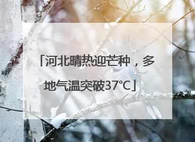 河北晴热迎芒种，多地气温突破37℃
