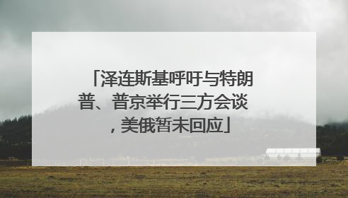 泽连斯基呼吁与特朗普、普京举行三方会谈，美俄暂未回应