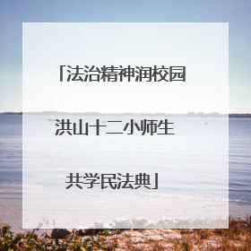 法治精神润校园 洪山十二小师生共学民法典