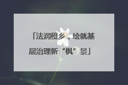 法润橙乡，绘就基层治理新“枫”景