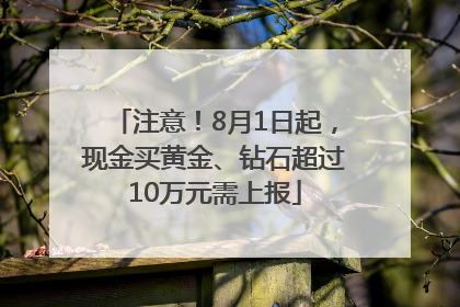 注意！8月1日起，现金买黄金、钻石超过10万元需上报