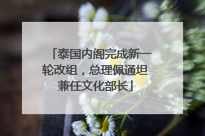 泰国内阁完成新一轮改组，总理佩通坦兼任文化部长