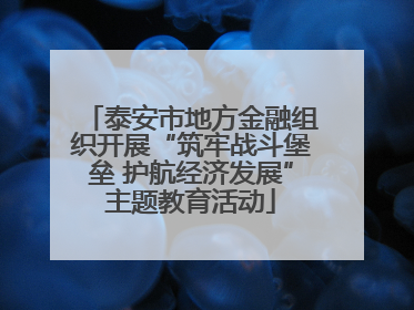 泰安市地方金融组织开展“筑牢战斗堡垒 护航经济发展”主题教育活动