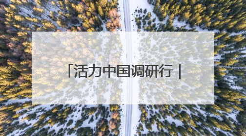 活力中国调研行｜向“智”！中国机器人“跑”起来