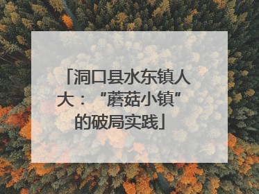 洞口县水东镇人大：“蘑菇小镇”的破局实践