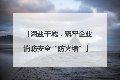 海盐于城：筑牢企业消防安全“防火墙”