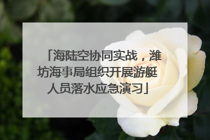 海陆空协同实战，潍坊海事局组织开展游艇人员落水应急演习