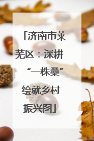 济南市莱芜区：深耕“一株桑” 绘就乡村振兴图