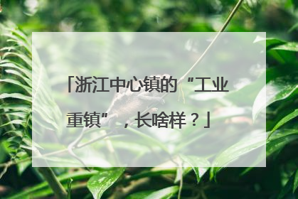 浙江中心镇的“工业重镇”，长啥样？