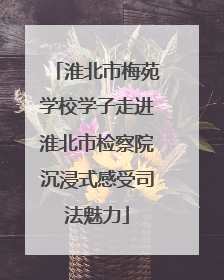 淮北市梅苑学校学子走进淮北市检察院沉浸式感受司法魅力