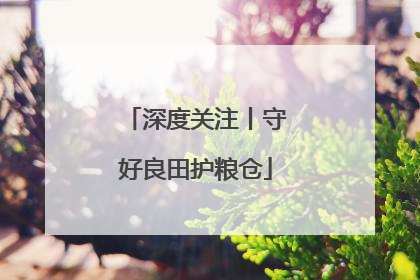 深度关注丨守好良田护粮仓