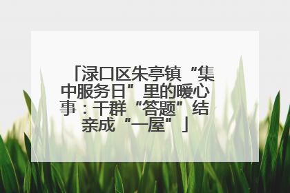 渌口区朱亭镇“集中服务日”里的暖心事：干群“答题”结亲成“一屋”