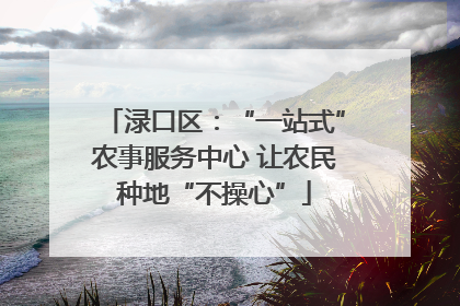 渌口区：“一站式”农事服务中心 让农民种地“不操心”