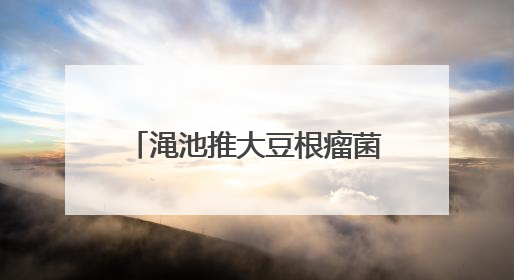 渑池推大豆根瘤菌技术，1.3万亩农田实现“一播全苗、一生节肥”