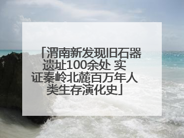 渭南新发现旧石器遗址100余处 实证秦岭北麓百万年人类生存演化史