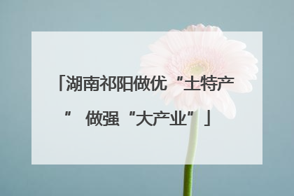 湖南祁阳做优“土特产” 做强“大产业”