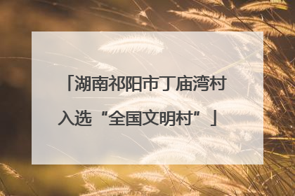 湖南祁阳市丁庙湾村入选“全国文明村”