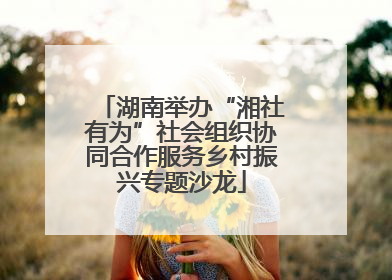 湖南举办“湘社有为”社会组织协同合作服务乡村振兴专题沙龙