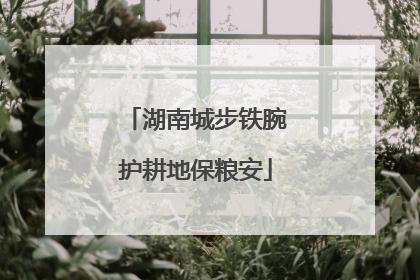 湖南城步铁腕护耕地保粮安