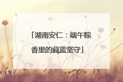 湖南安仁：端午粽香里的藏蓝坚守