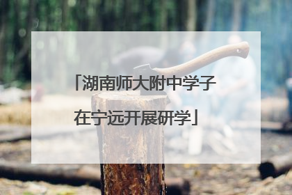 湖南师大附中学子在宁远开展研学