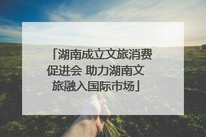 湖南成立文旅消费促进会 助力湖南文旅融入国际市场
