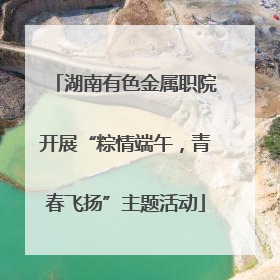 湖南有色金属职院开展“粽情端午，青春飞扬”主题活动