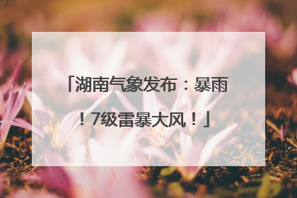 湖南气象发布：暴雨！7级雷暴大风！