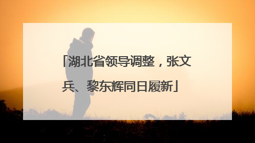 湖北省领导调整，张文兵、黎东辉同日履新