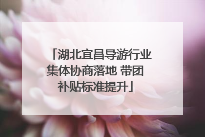 湖北宜昌导游行业集体协商落地 带团补贴标准提升