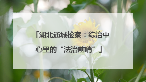 湖北通城检察：综治中心里的“法治前哨”