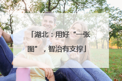 湖北：用好“一张图”，智治有支撑