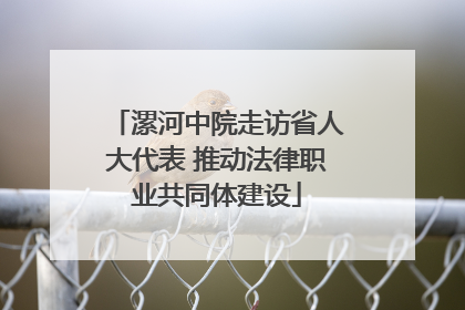 漯河中院走访省人大代表 推动法律职业共同体建设